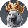 letizia_zh
